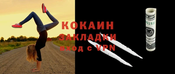 дживик Вязьма