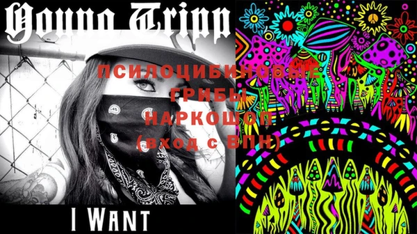 дживик Вязьма