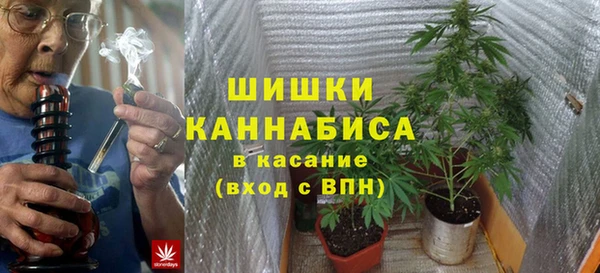 дживик Вязьма