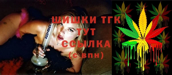 дживик Вязьма