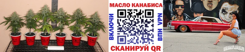 Купить где  Кедровый  Дистиллят ТГК гашишное масло 