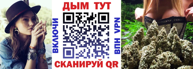 Купить закладки  Кедровый  Каннабис ГИДРОПОН 